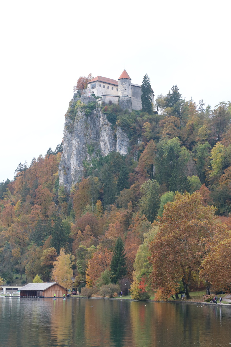 castle, architecture, slovenia, nature, change, building exterior, history, europe, day, outdoors, clear sky, growth, lake, water, mountain, built structure