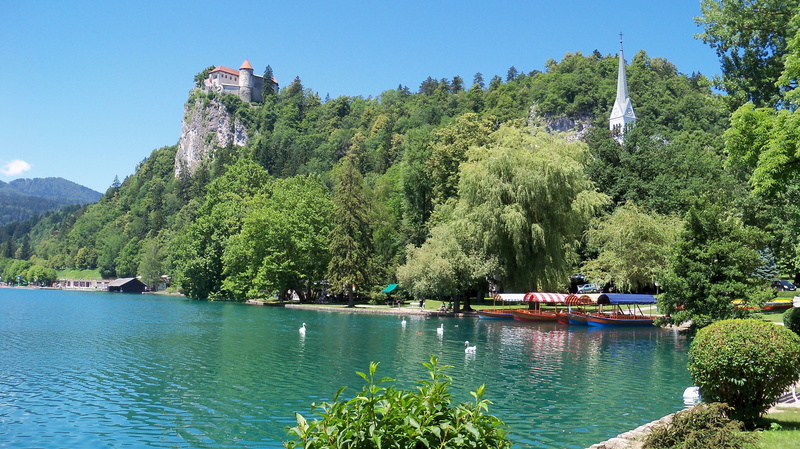 bled, nature, beauty in nature, nautical vessel, 2K, pine tree, coniferous tree, forest, river, lake, water, outdoors, slovenia, plant, tree, mountain