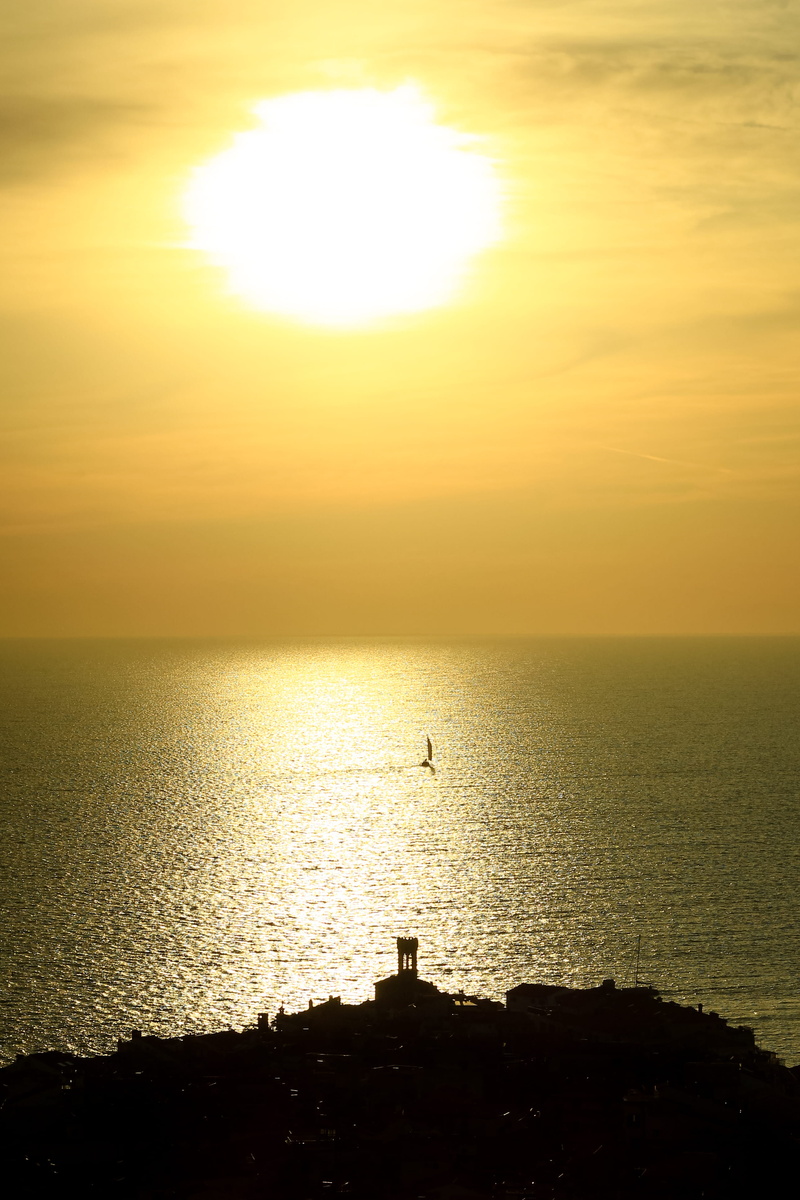 port, outline, silhouette, scenery, scenics - nature, nature, beauty in nature, slovenia, yacht, animal, landscape, sun, ocean, seagull, tranquil scene
