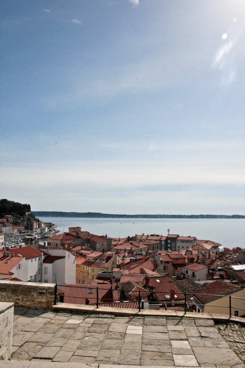 house, roof tile, high angle view, shore, cloud - sky, nature, summer, residential district, city, no people, town, horizon over water, 4K, sun, piran