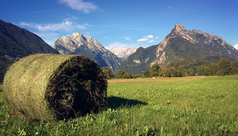 tranquility, mountain peak, mountain, bovec, alpine, europe, no people, outdoor, land, hay bale, plant, summer, scenic, hay, day, green, nature, field