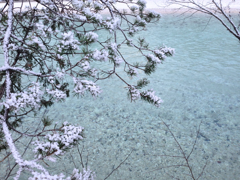 land, čezsoča, tranquility, day, tree, winter, slovenia, soča river, idyllic, plant, scenics - nature, branch, water, outdoors, snow, beauty in nature