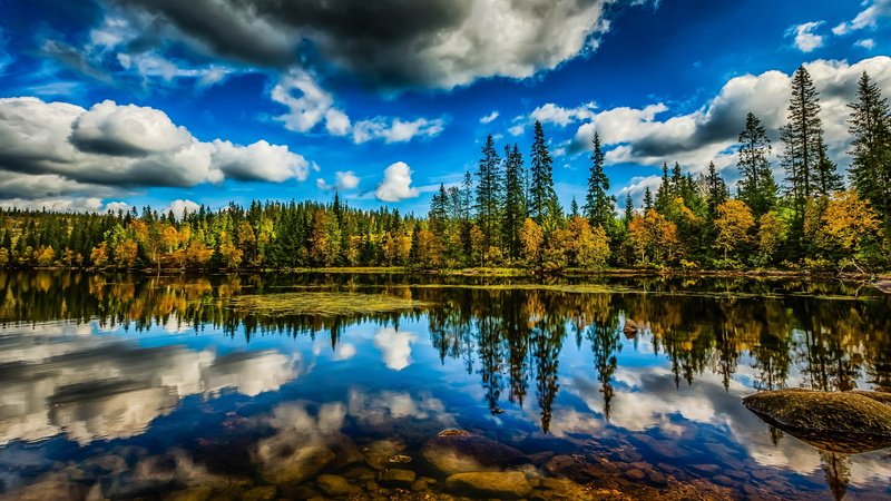 day, outdoors, wilderness, land, blue, fluffy clouds, autumn, forest, tranquil scene, idyllic, tree, 4K, sky, coniferous tree, reflection lake, beauty in nature