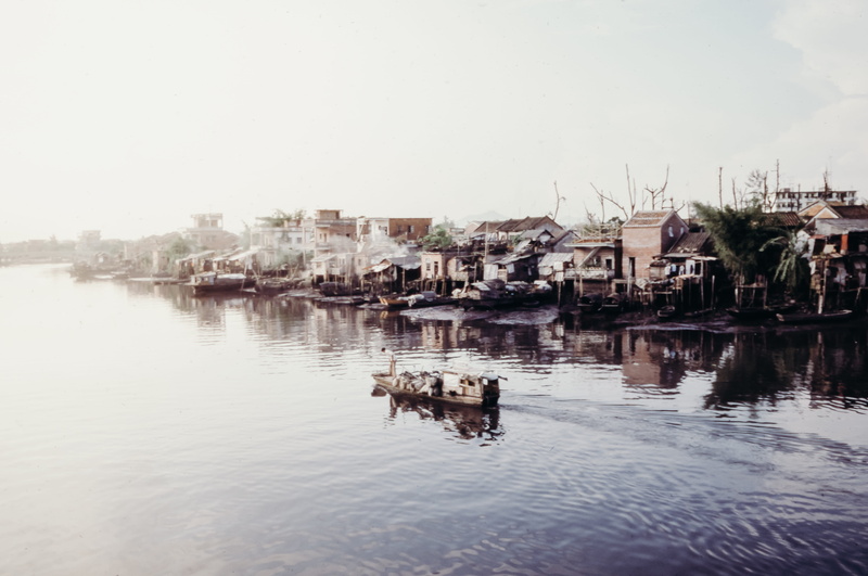 animal themes, copy space, city, waterway, nature, body, day, passing, 8K, building exterior, outdoors, lake, light, asium, architecture, houses, sky