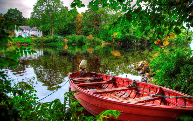water, moored, rowboat, trees, fishing boat, green color, no people, beauty in nature, lakeshore, mode of transportation, boat, transportation, nautical vessel