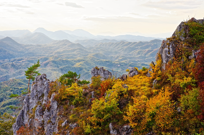 growth, formation, day, croatia, non-urban scene, change, view, outdoors, nature, planine, tree, mountains, no people, plant, sky, gora, idyllic, scenics - nature
