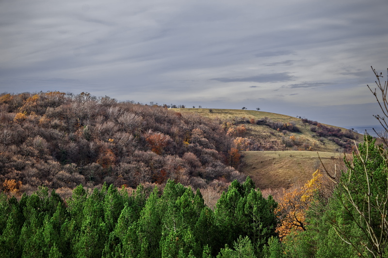 day, mountain, scenics - nature, green color, hill, trees, change, no people, tree, beauty in nature, nature, cloud - sky, 5K, sky, growth, non-urban scene