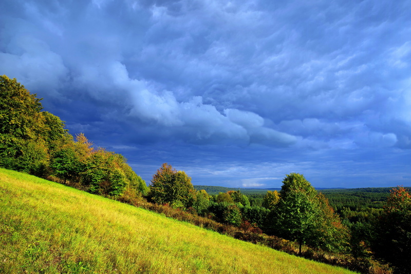 tree, day, field, summer, land, nature, environment, sky, storm clouds, tranquility, idyllic, cloud, poland, drama, grass, beauty in nature, green color