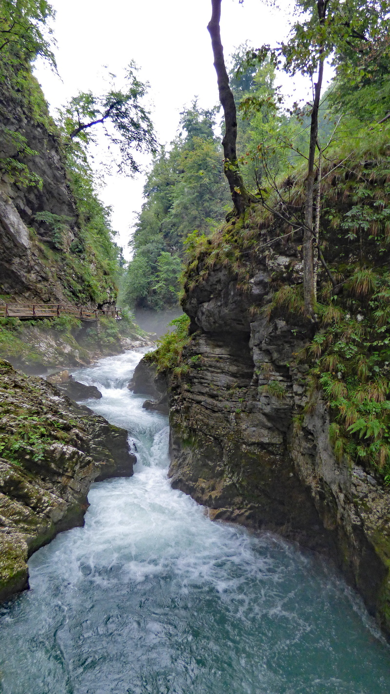 beauty in nature, flowing, bled, rainforest, plant, blurred motion, day, water, radovna, river, scenics - nature, waterfall, power in nature, rock, flowing water