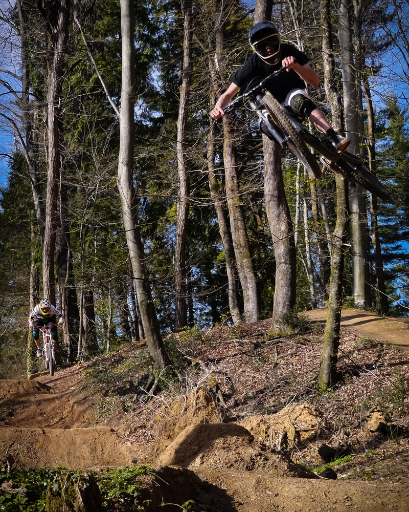 flora, transportation, path, jump, man, air, adult, day, tree trunk, bike, men, vegetation, sport, woodland, lifestyles, downhill, land, nature, black