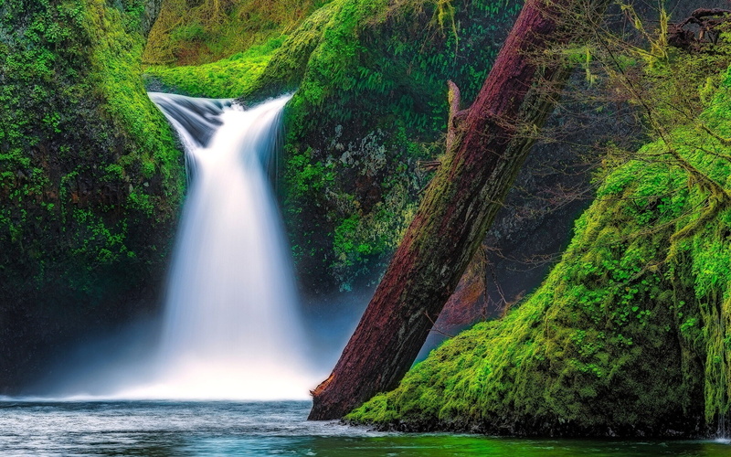Moss, Creek, Falls, Bowl, USA, 1080P, Punch, River, Columbia, Oregon, Gorge, Eagle