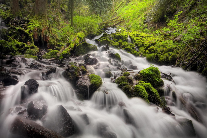 river, 3d and abstract, tree, oregon, lapse, forest, gorge, rock, trail, falls, fairy, photo, 1080P, waterfall, columbia, time