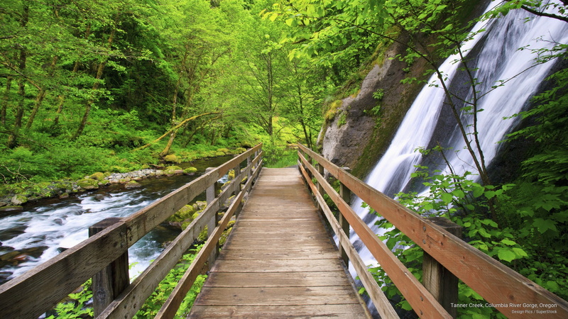 oregon, 2K, river, columbia, tanner, gorge, creek, Nature