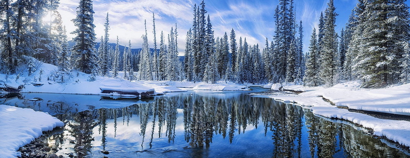 environment, reflection, no people, white, tranquil scene, cold temperature, nature, tree, ice, water, 1080P, plant, forest, tranquility, landscape, coniferous tree