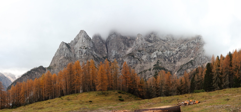leafed, forest, scenics, mountain, autumn, brown, daytime, outdoors, trees, dolomites, rock - Object, 8K, landscape, cesta, Jesenice  Slovenia, Turismo