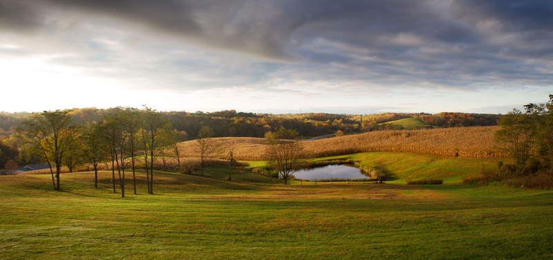 rural Scene, landscape, Looking out, forest, outdoors, front, nature, grassfield, 8K, cloudy, grass, autumn, scenics, tree, sky, door, season, daytime
