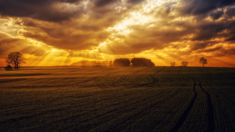 romantic, outdoors, no people, dusk, green, field, evening sky, environment, sunrise, rural scene, scenics - nature, mood, evening light, cloud - sky, sky