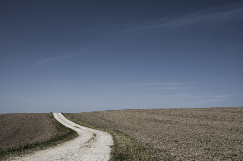 dirt road, scenics - nature, the way forward, summer, day, grassfield, grounds, brown, dirt, tranquility, rural Scene, cloud - Sky, land, landscape, blue