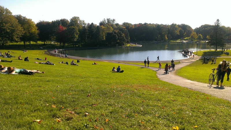 real people, outdoor, tree, growth, outdoors, landscape, leisure activity, montreal, canada, green color, scenics - nature, nature, 2K, grassfield, quebec