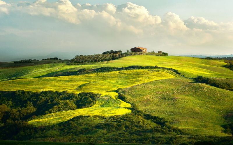 scenics - nature, green, nature, environment, sky, outdoors, theme, rural scene, beauty in nature, agriculture, tranquil scene, field, cloud - sky, landscape
