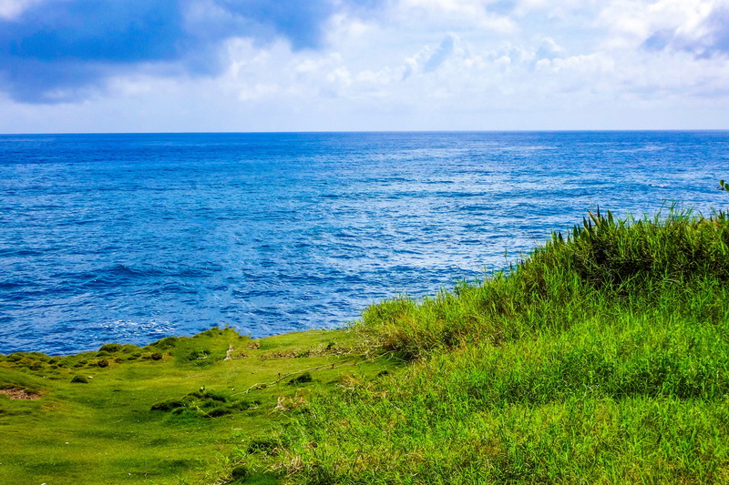 plant, land, green color, tranquility, scenic, daylight, no people, horizon over water, ocean, sky, coast, water, scenics - nature, wave, seashore, grassfield