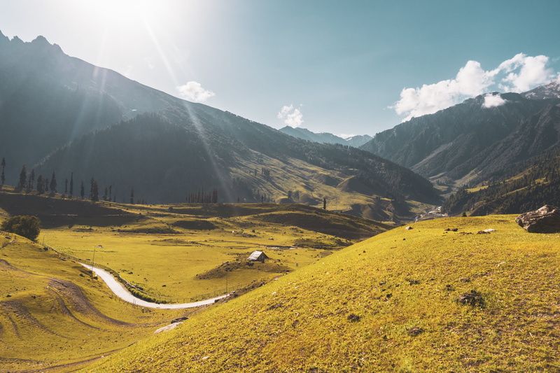 beauty in nature, environment, tranquil scene, tranquility, daytime, bright, 5K, scenics - nature, plant, nature, sky, day, cloud - sky, lens flare, grassfield