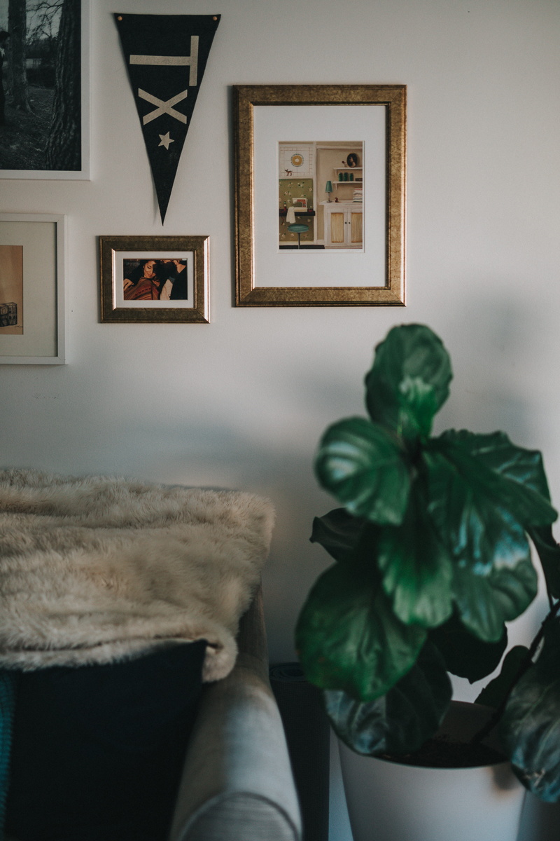 photo, frame, paintings, fur, paint, leafed, potted plant, green, art and craft, 5K, furniture, plant, indoors, potted, living place, real people, interior design