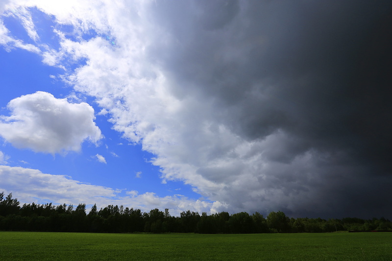 nature, non-urban scene, mood, green color, 5K, ominous, land, russia, plant, living nature, landscape, blue, cloud - sky, tree, tranquility, beauty in nature