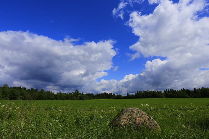 no people, environment, tree, field, living nature, non-urban scene, cloud - sky, rural scene, beauty in nature, russian remote places, tranquility, land