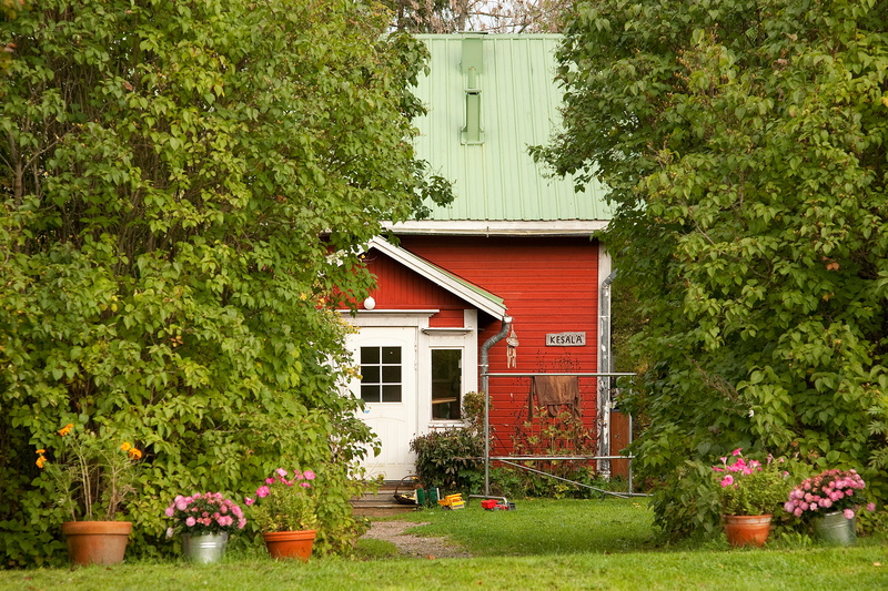 hut, residential district, outdoors, living, window, entrance, red, 4K, trees, flowerbed, plant, hedge, tree, building exterior, flowering plant, architecture