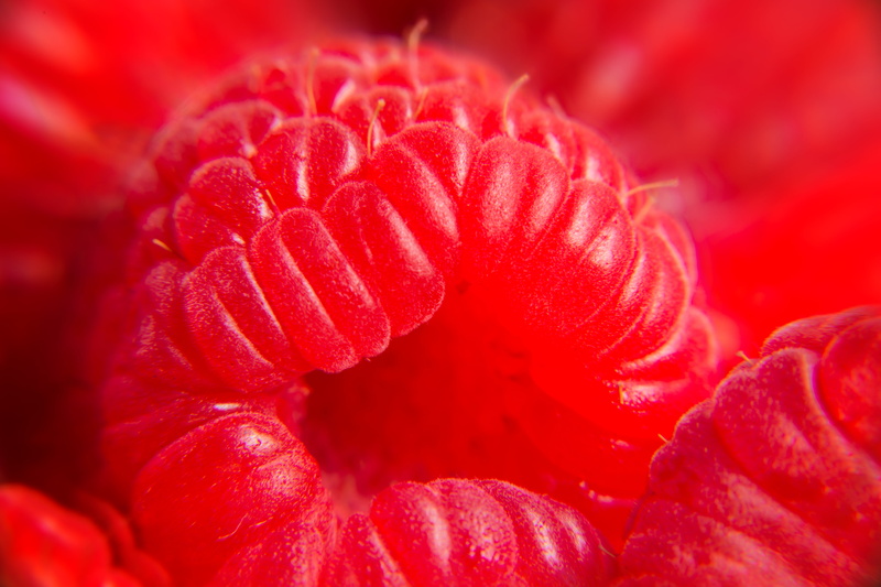beautiful, Award, Mondays, colours, Obst, Monday, flickr, 5K, plant, pretty in pink, Texture, world, backlit, exposure, frame, capture, fruit, freshness