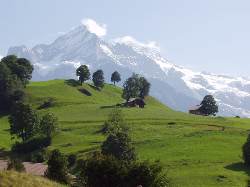 Mountains, tranquil scene, Grindelwald, grass, landscape, cold temperature, switzerland, field, snowcapped mountain, plant, beauty in nature, land, scenics - nature