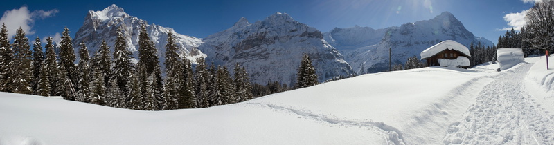 snow, no people, eiger, mountain landscape, wintry, white, built structure, evergreen tree, snowing, coniferous tree, outlook, tree, mountain, hike, environment