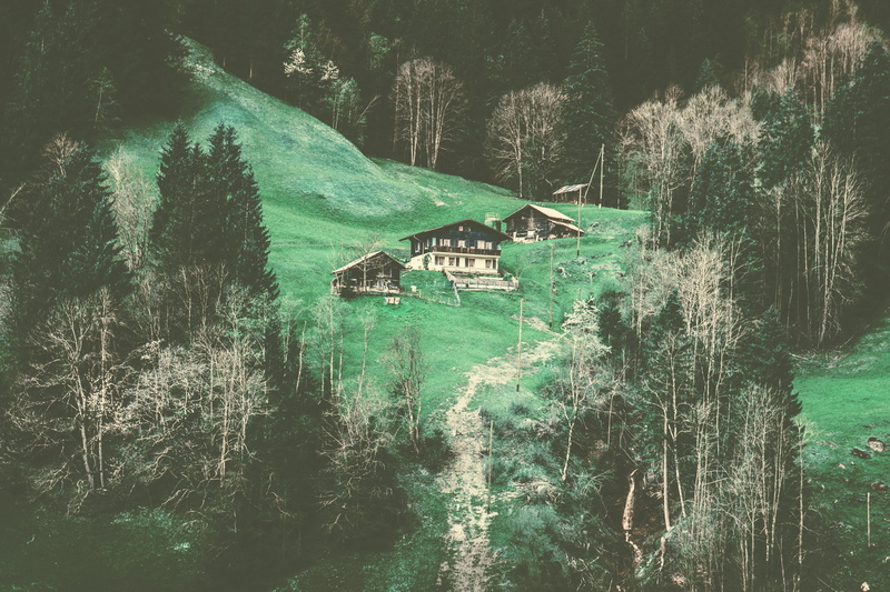 nature, houses, hut, tree, forest, outdoors, switzerland, growth, 5K, trees, adventure, building, explore, grindelwald, water, plant, house, alps, built structure