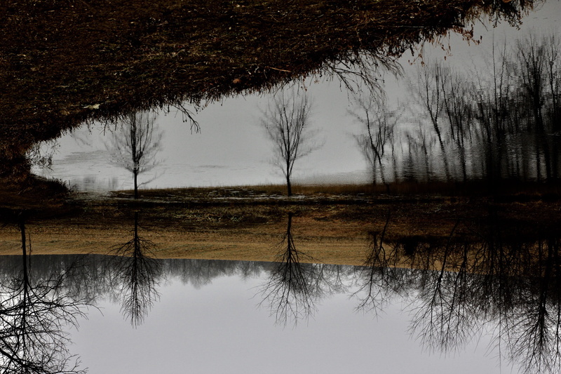 canon t2i, reflect, 5K, lake, pond, nature, tranquil scene, chambersburg, outdoors, gloomy, trees, spring, reflection, scenics - nature, day, beauty in nature