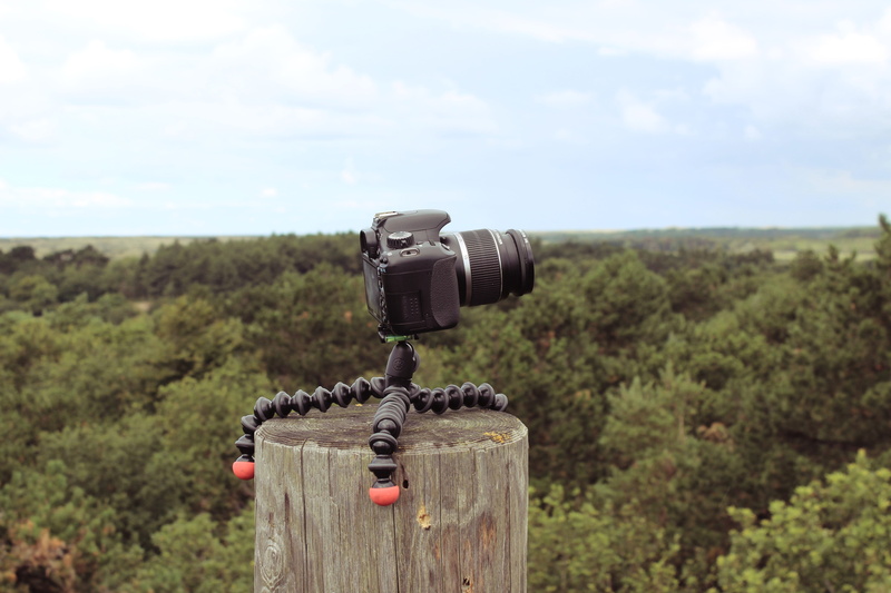 technology, close-up, forest, field, canon eos 550d, environment, landscape, land, dslr, woods, photographic equipment, canon, no people, digital camera