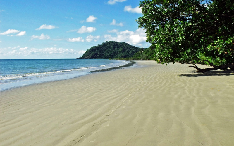 outdoors, cape tribulation, day, beach, horizon over water, sea, land, sunny, david clode, cloud - sky, australia, 2K, horizon, scenics - nature, sky