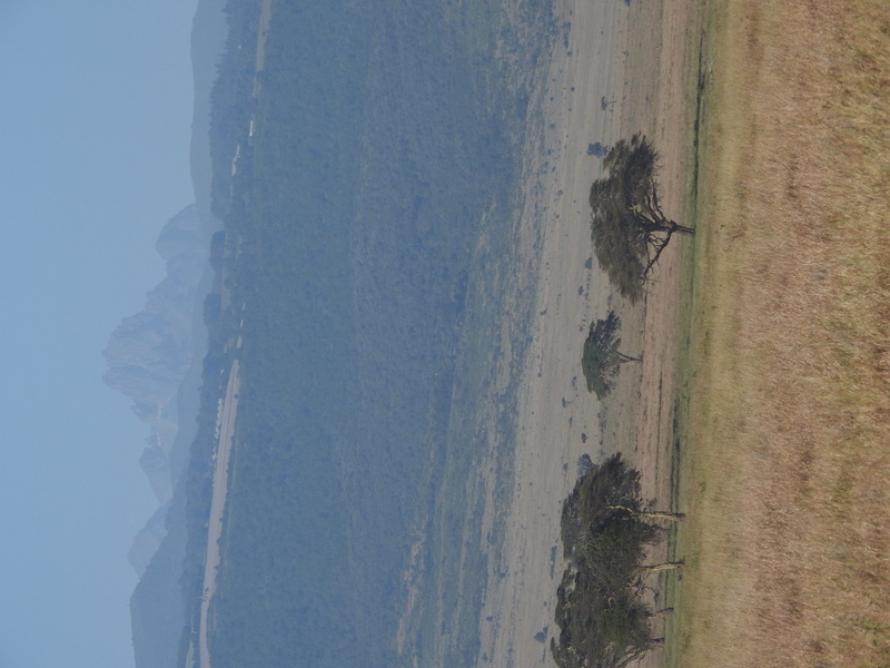 mountain, no people, idyllic, day, isiolo, tranquility, mt. kenya, acacia trees, lewa wildlife conservancy, high angle view, water, beach, nature, motion