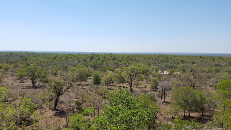 public domain, non-urban scene, arid climate, animals in the wild, travel Locations, scenics - nature, south, Landscape, outdoors, horizon over land, blue