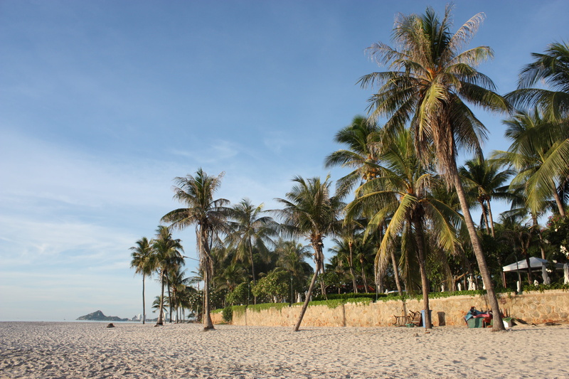 sky, growth, outdoors, tropical tree, coconut trees, hua hin, coconut palm tree, scenics - nature, cloud - sky, day, water, land, tree, tranquility, beach