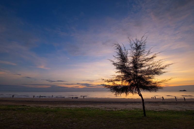 beach, horizon over water, prachuap khiri khan, water, nature, seashore, sea, horizon, land, sunset, plant, idyllic, morning, beauty in nature, sky, tranquility