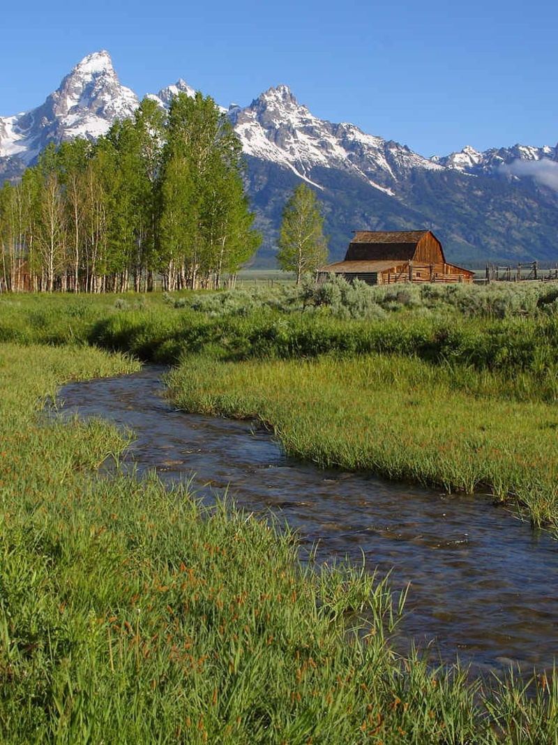 plant, architecture, tranquility, mountain peak, outdoors, national park, mormon row barn, green color, 480P, mountain, non-urban scene, nature, tree