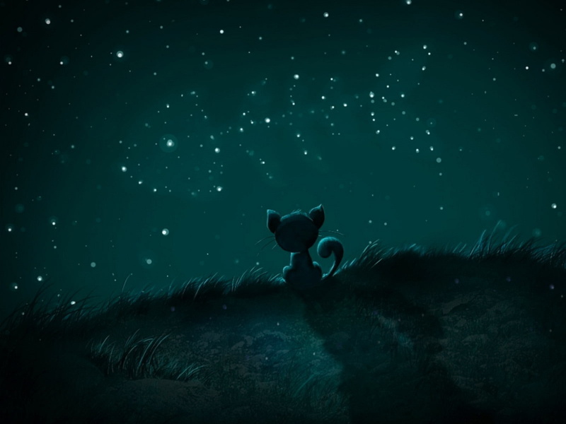 stars, cats, fish, catalunya, cartoons, 720P