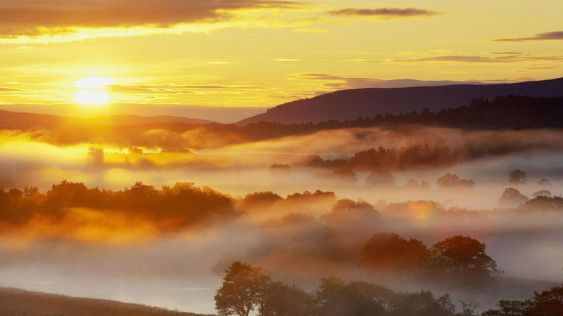 sunset, mountains, trees, 1080P, beautiful, orance, horizon, yellow, scenery, skies, sun, clouds, landscape, 3d and, sunrise