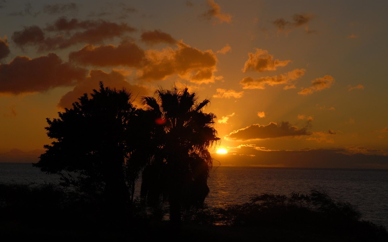 amazing, clouds, palm trees, tropical, 1080P, 3d and abstract, sunset, sunrise, ocean, skies, beautiful, image