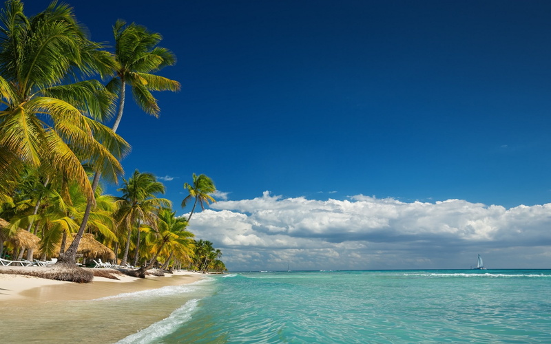 summer, beach, landscape, tropical, clouds, nature, sea, vacation, palm trees, 1080P, island