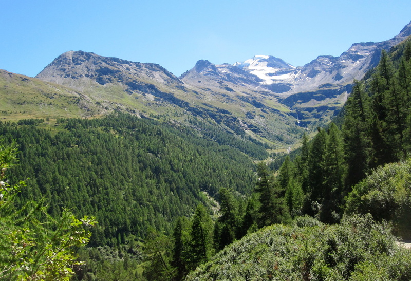 south, idyllic, sky, high, plant, bike, alpine, mountains, green color, summit, tree, travel, environment, remote, mountain, swiss, green, matterhorn, mountain peak