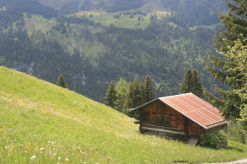 holiday, tranquil scene, plant, scenics - nature, architecture, chalet, tree, european, vacation, forest, europe, trees, building, house, environment, rural scene