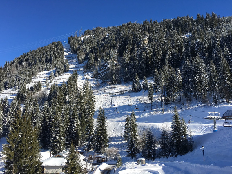 white color, pine tree, recreation, child, family, environment, non-urban scene, land, cold, switzerland, tranquil scene, landscape, resort, skier, vacation