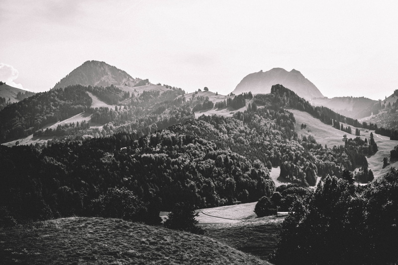 beauty in nature, alps, tree, summit, no people, mountain range, outdoors, tranquil scene, hillside, sky, woodland, white, rock, nature, day, grayscale